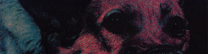 Protomartyr (Detroit) w/ Whatever Brains (Chapel Hill)