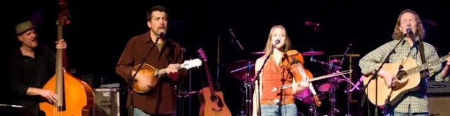 Hickory Robot w/ Shiny and the Spoon